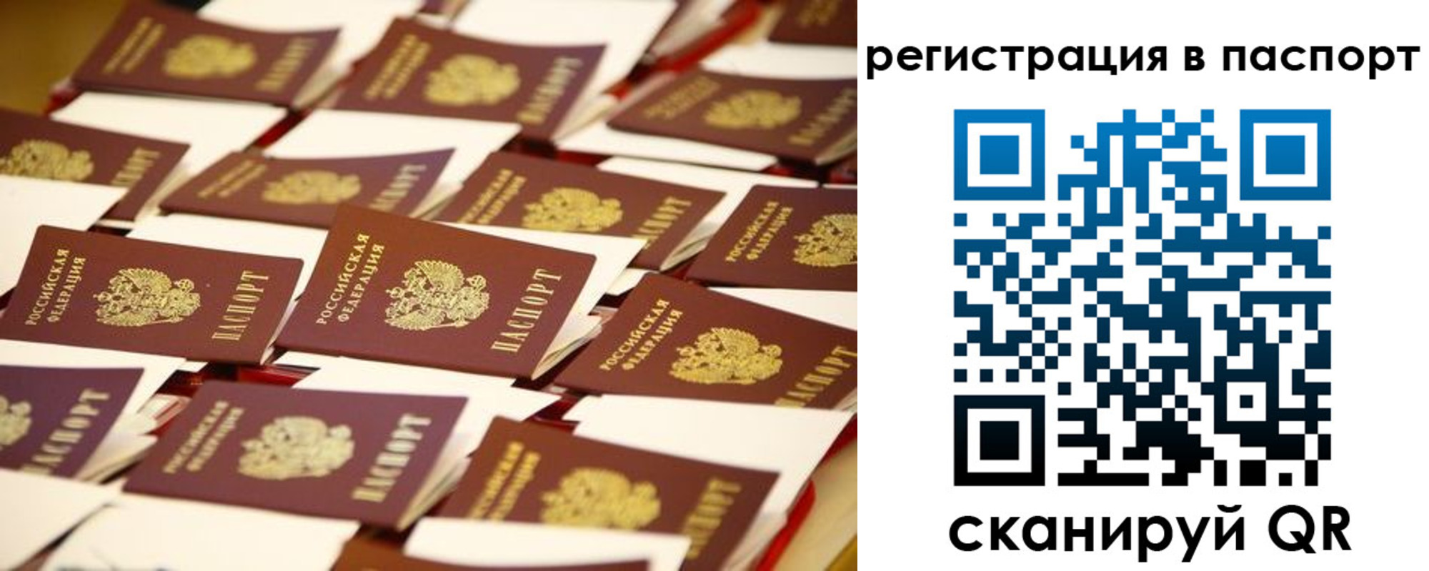 прописка гарантия в Хотьково
